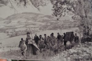 LANIA (29)