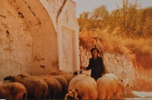 LANIA (30)
